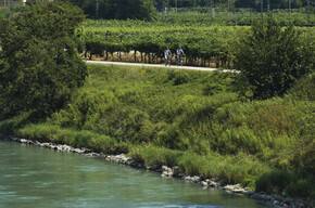 Ciclabile Adige_visitrovereto | © APT Rovereto Vallagarina Monte Baldo