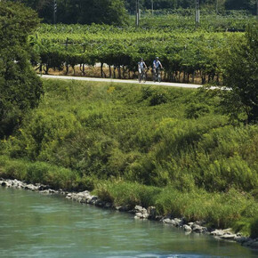 Ciclabile Adige_visitrovereto | © APT Rovereto Vallagarina Monte Baldo