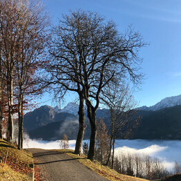La Via della Frutta Antica | © Stefano Gaio