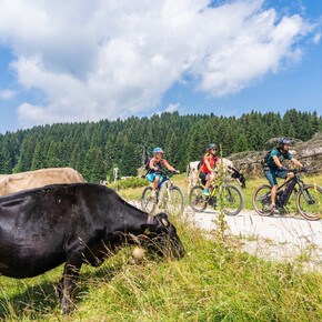 Luserna - Roana Cycle and Pedestrian Path | © Azienda per il Turismo Alpe Cimbra