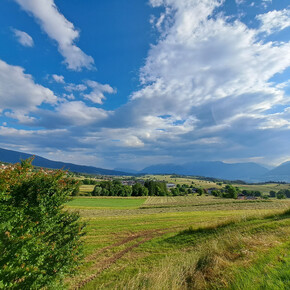 Camino Jacobeo d'Anaunia - Stage 1, Part 1 from Sanzeno to Fondo -... | © APT Val di Non 