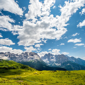 Malga Fevri und die Brenta-Dolomiten vom Monte Spinale aus | © APT Madonna di Campiglio, Pinzolo, Val Rendena