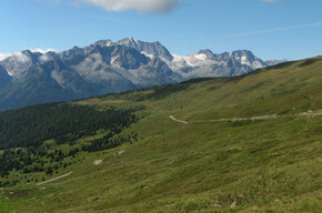 Ortisè – Malga Pozze | © APT Valli di Sole, Peio e Rabbi