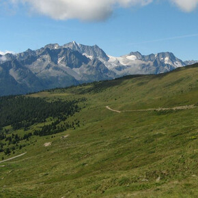 Ortisè – Malga Pozze | © APT Valli di Sole, Peio e Rabbi