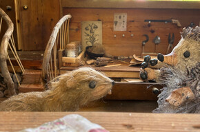 Der Murmeltierpfad ©Archivio Funivia Ciampac e Contrin S.p.A. | © APT Val di Fassa