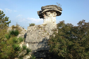 Albaredo-Pilzpfad | © APT Rovereto Vallagarina Monte Baldo