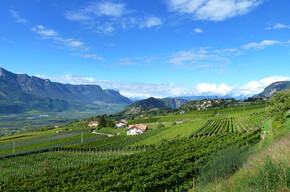 Unterland and Lake Kaltern | © APT Fiemme Cembra