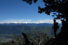 SAT 518. Rif. Malga Kraun - Cima Roccapiana. Panorama | © Consorzio Turistico Piana Rotaliana Königsberg