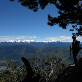 SAT 518. Rif. Malga Kraun - Cima Roccapiana. Panorama | © Consorzio Turistico Piana Rotaliana Königsberg