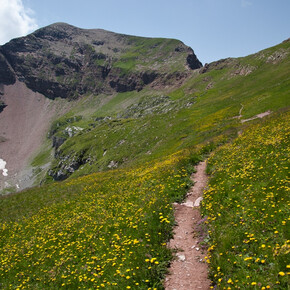 Cima Sasso Rosso in lontananza | © APT Val di Non 