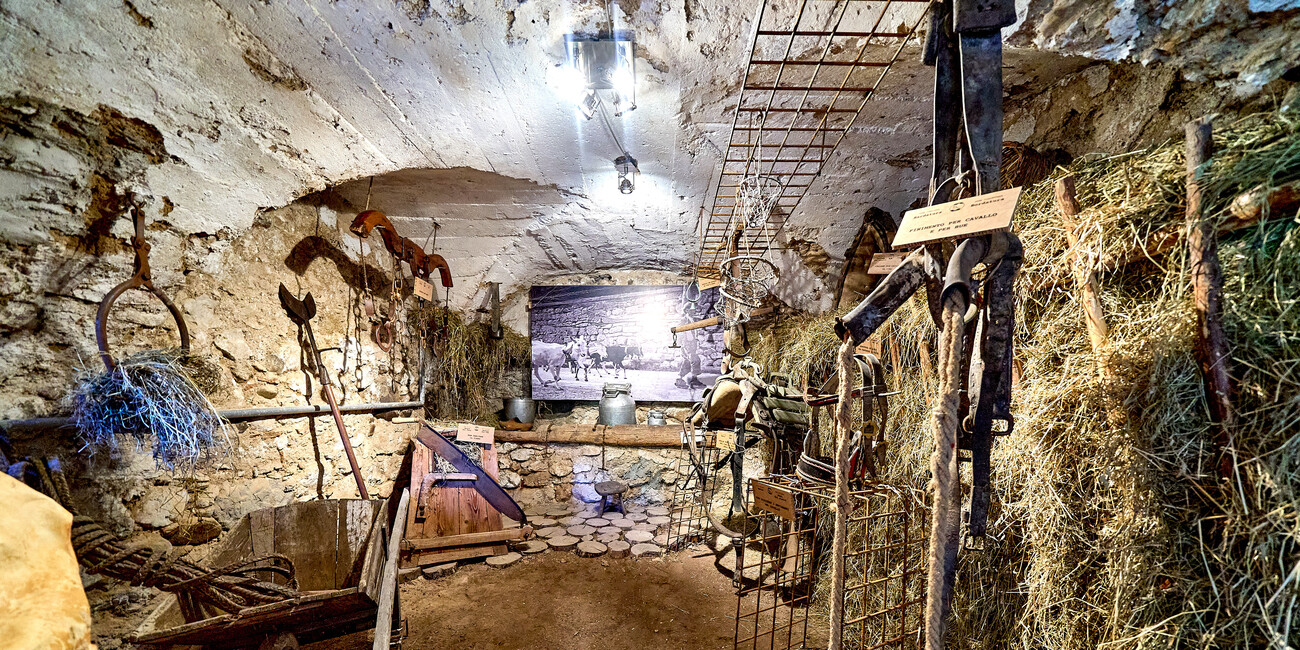 M.A.S. - Museo delle Arti e dei Saperi #6