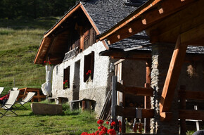 Museo NestAlp Malga Campo - Celentino di Peio