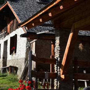 Museo NestAlp Malga Campo - Celentino di Peio
