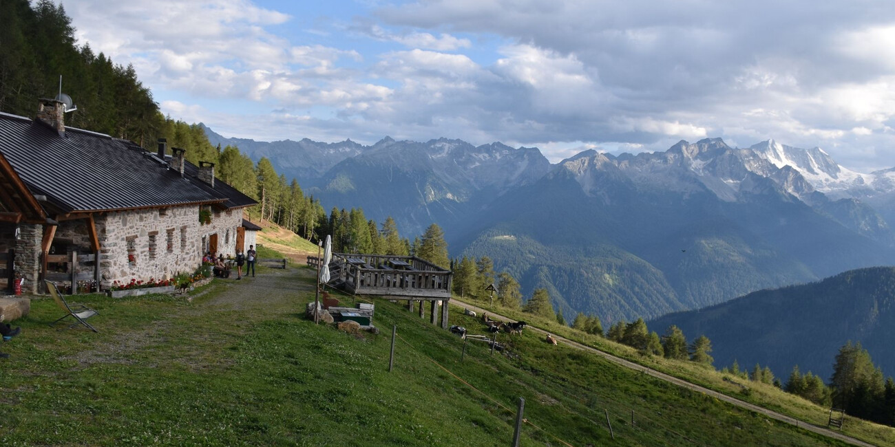 Museo NestAlp Malga Campo - Celentino di Peio #3
