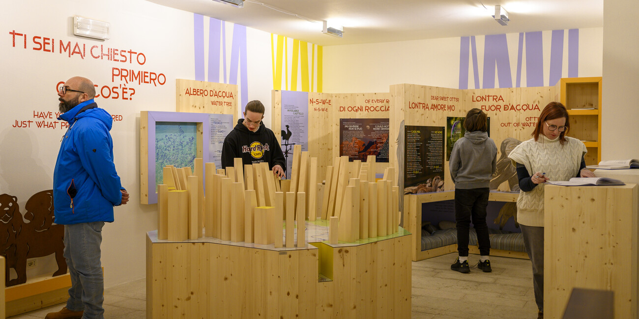 Palazzo del Dazio oder Palazzo delle Miniere #2