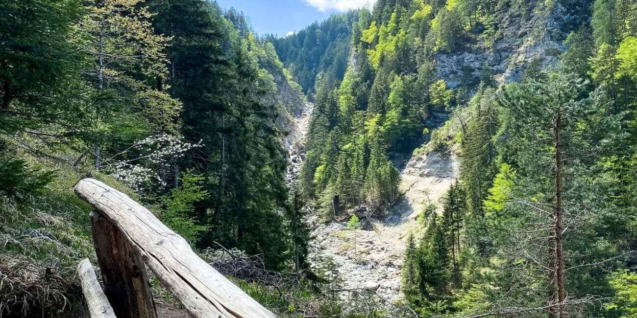 Val Meledrio Ecomuseum #2