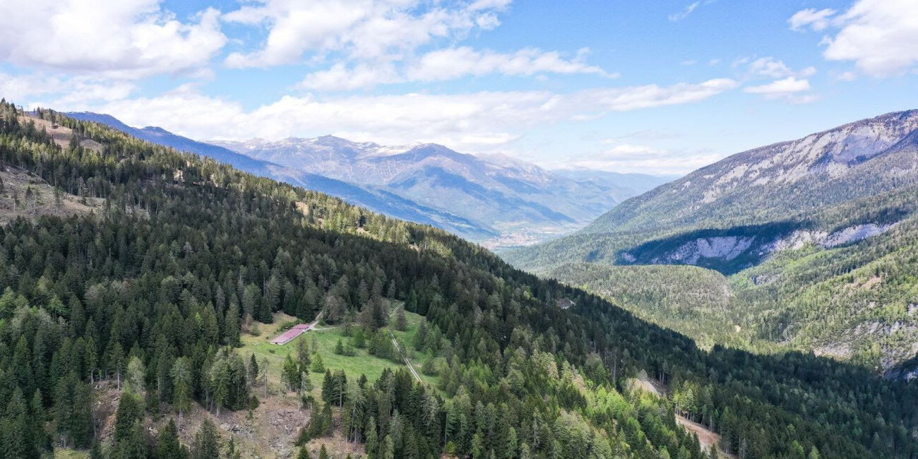 Val Meledrio Ecomuseum #3