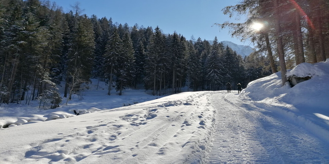 Val Meledrio Ecomuseum #1