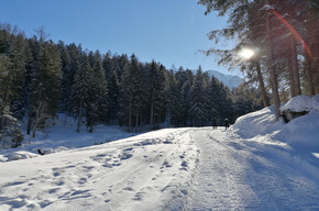 Val Meledrio Ecomuseum