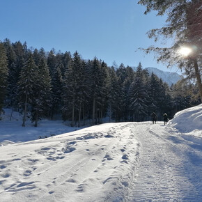 Val Meledrio Ecomuseum