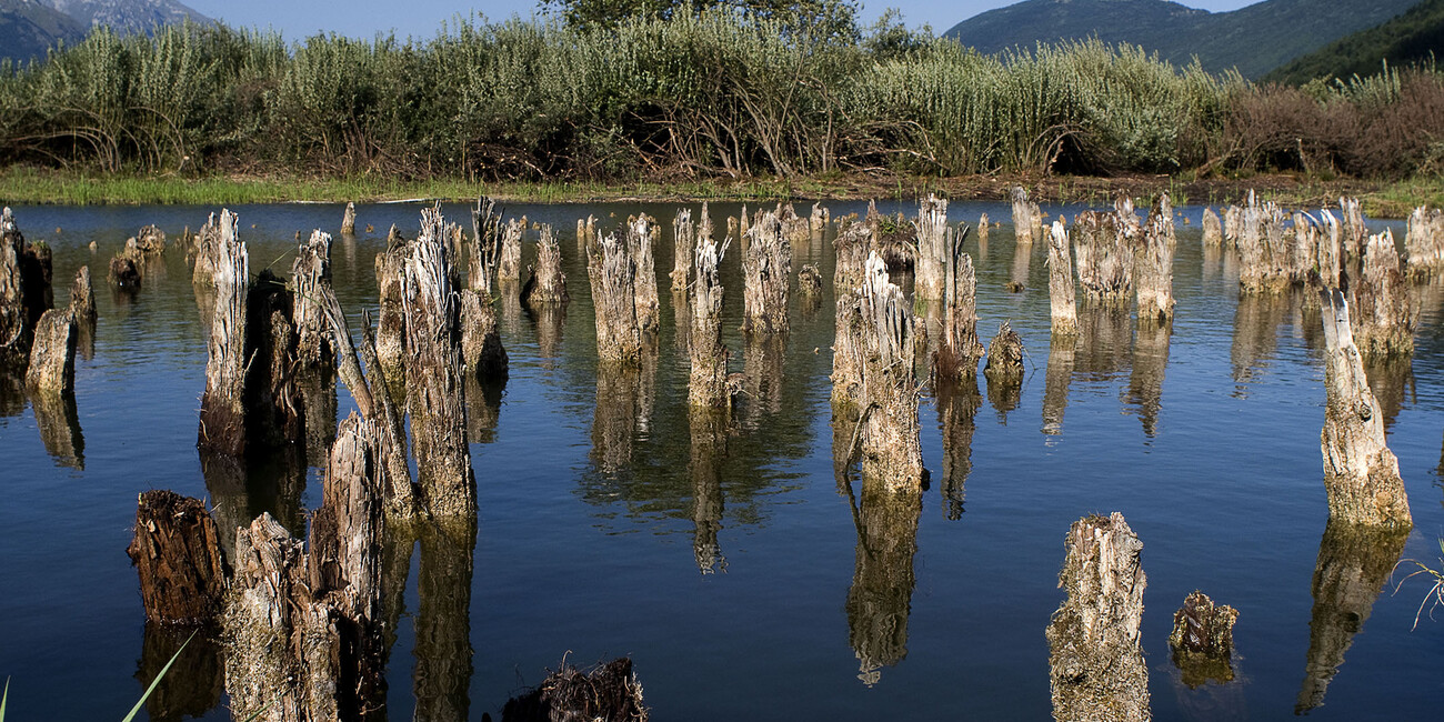 Parco Archeo Natura di Fiavé #4