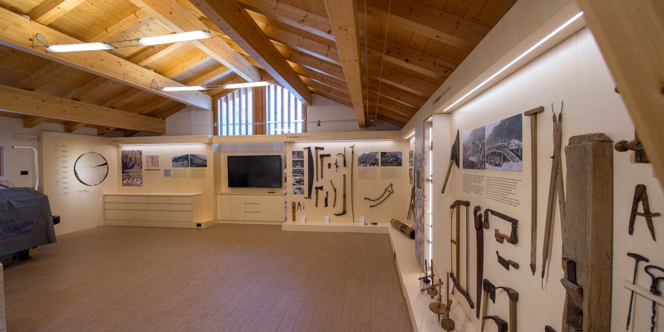 L Segat - The sylviculture #7