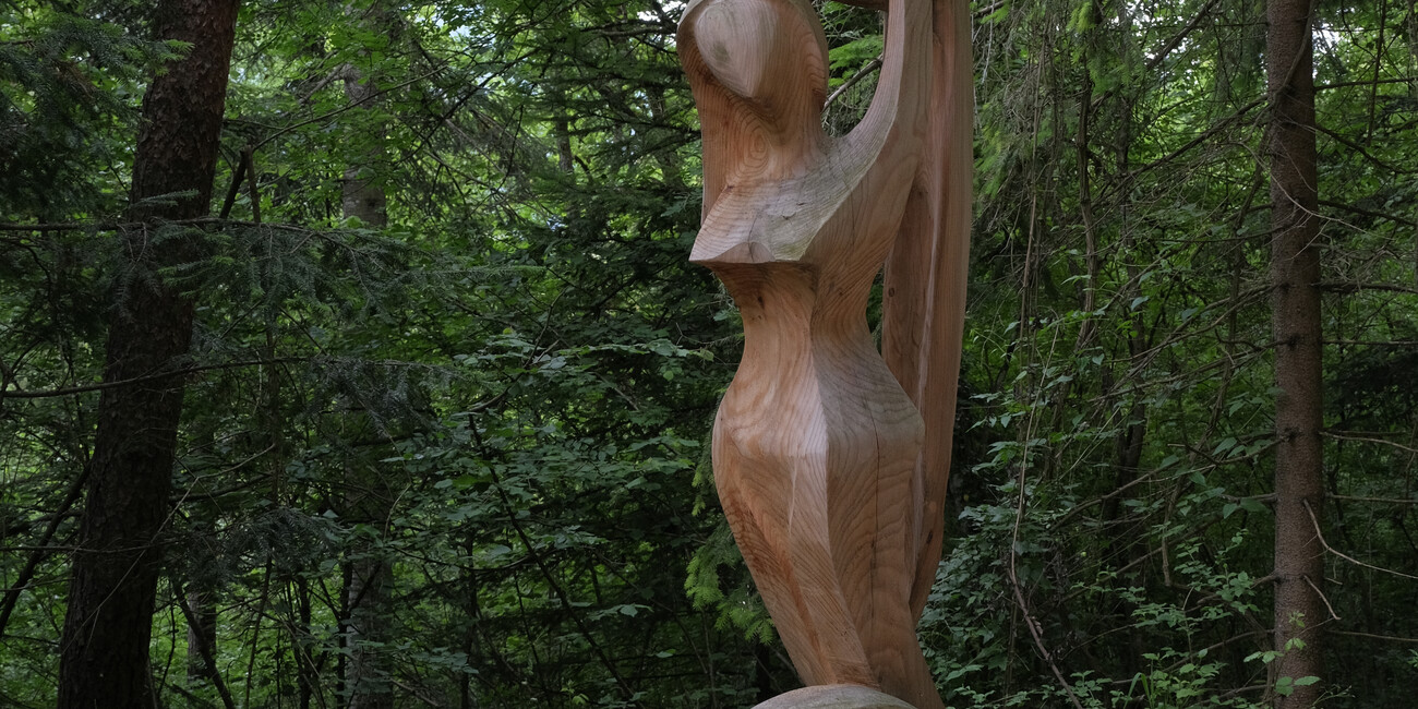 BoscoArteStenico - Museo d'Arte nella Natura #1