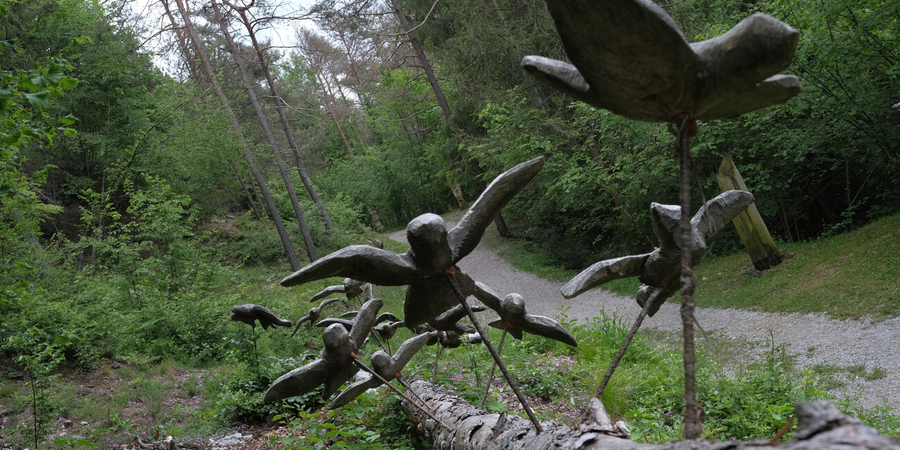 BoscoArteStenico - Museo d'Arte nella Natura #4