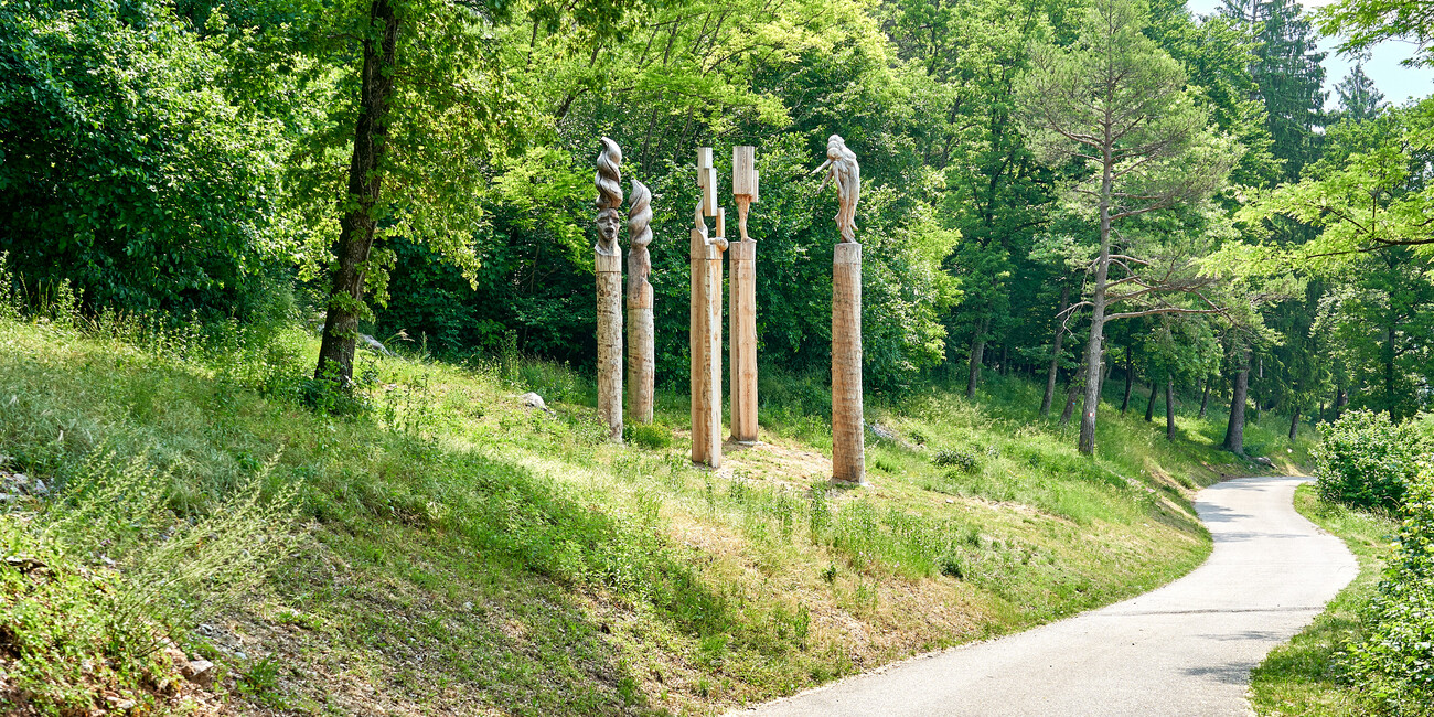 BoscoArteStenico - Museo d'Arte nella Natura #5