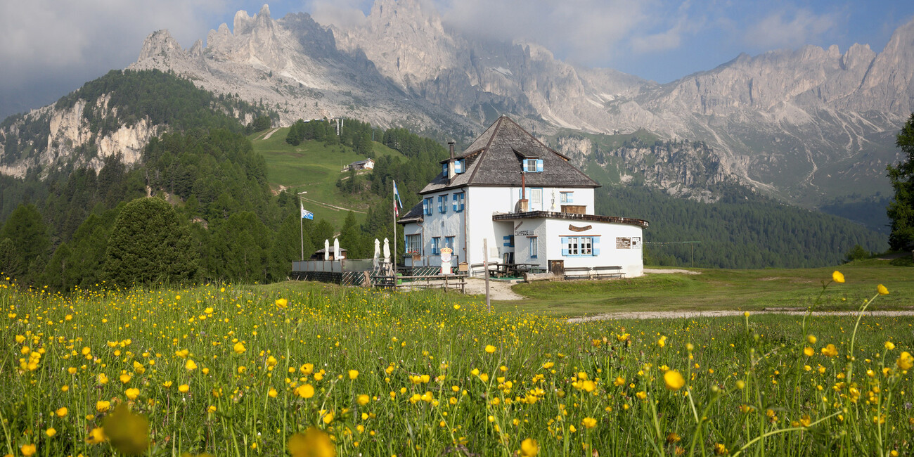 Ciampedie - Catinaccio viewpoint #9