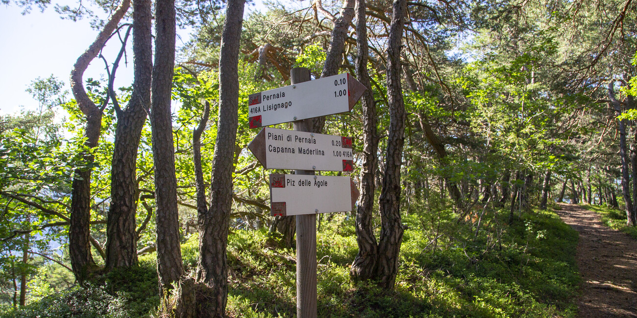 Punto panoramico Piz de le Agole #3