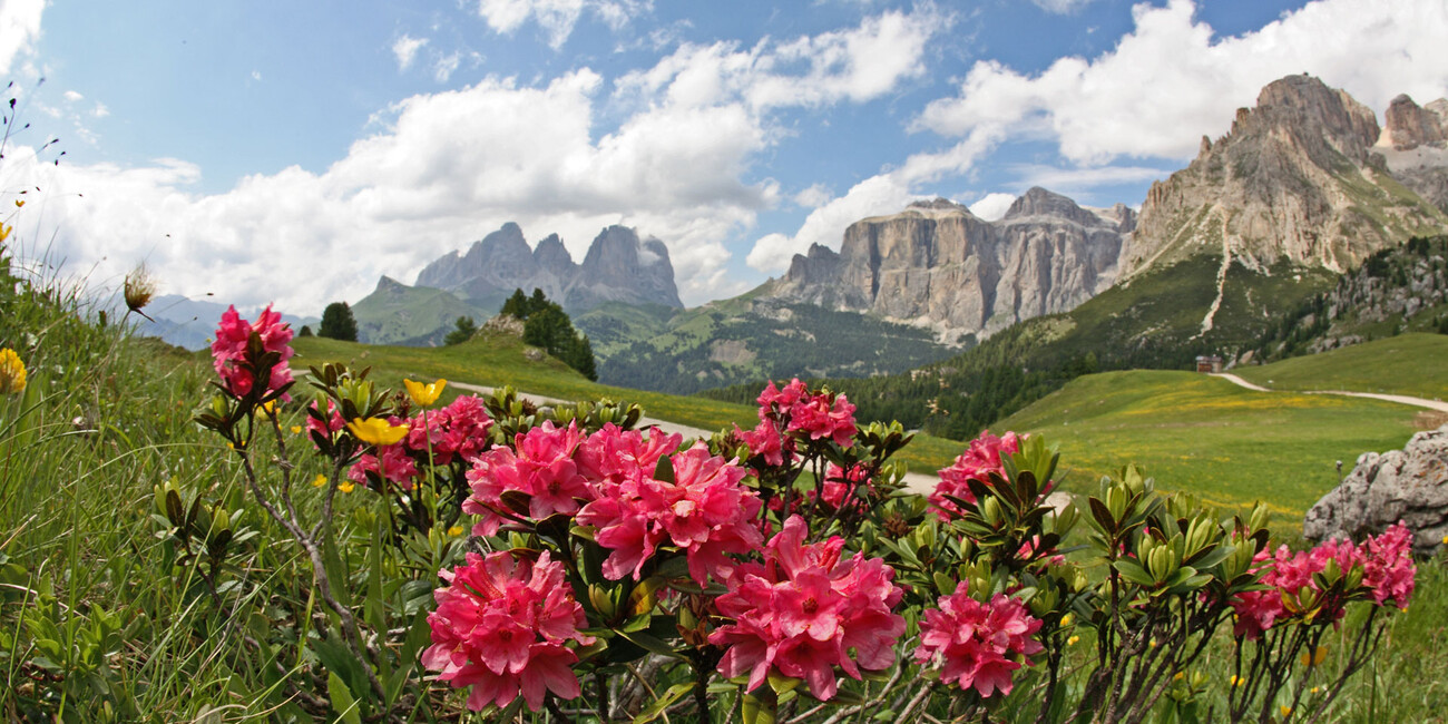 Belvedere - Col dei Rossi viewpoint #2