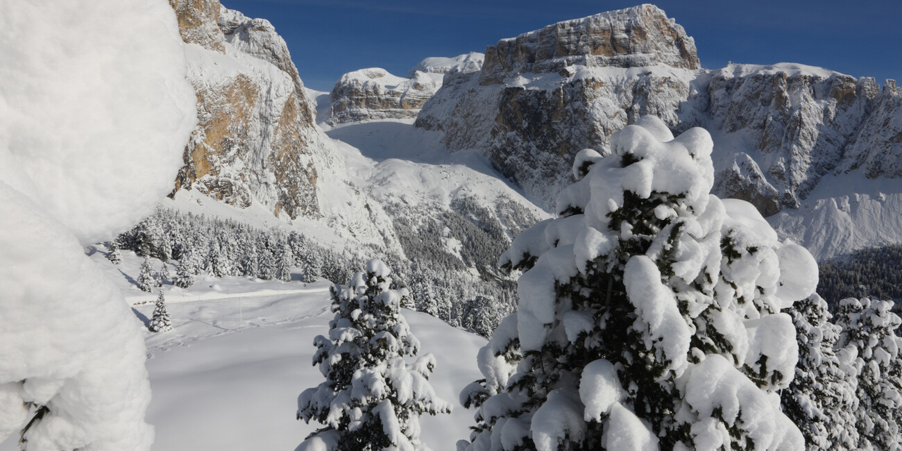 Punto panoramico Passo Sella #2