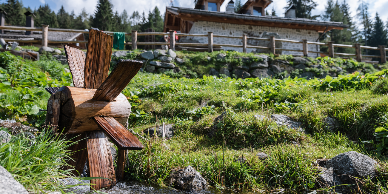 Malga Fazzon Alta #3