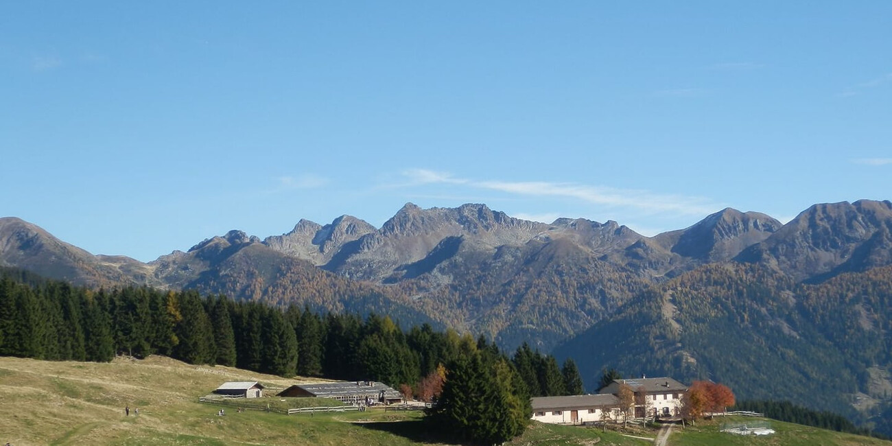 Agritur Malga Cambroncoi #1