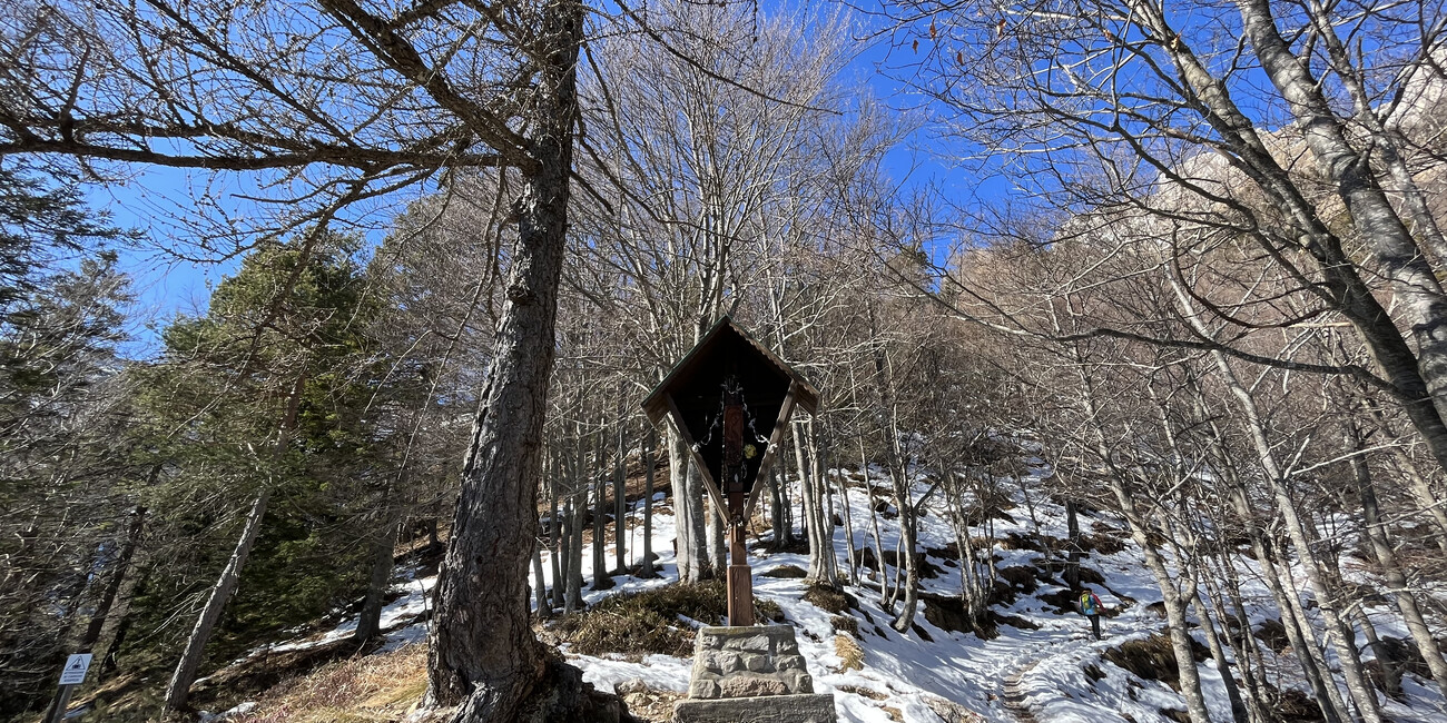 Belvedere Rifugio Casarotta #3