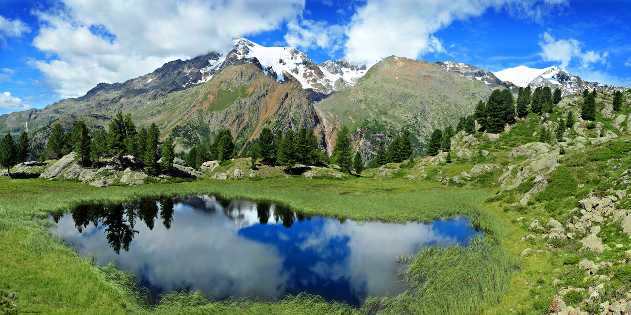 Ortles – Cevedale #6