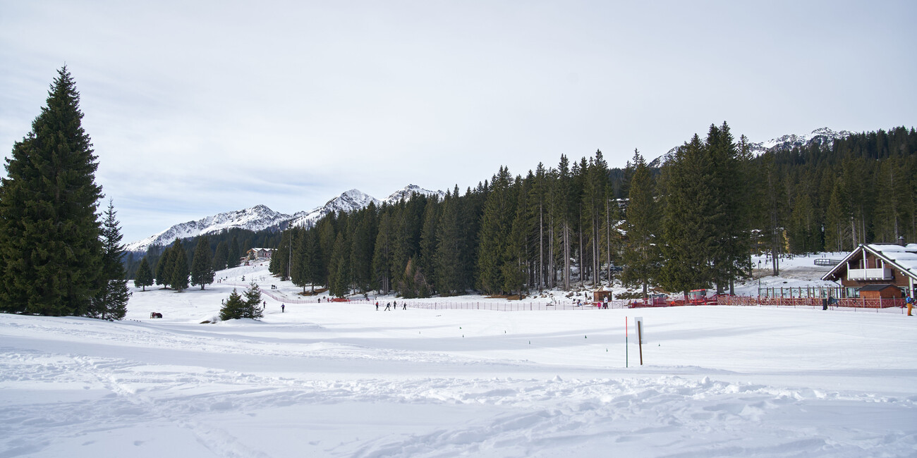 Scuola Italiana Sci di Fondo Malghette #6