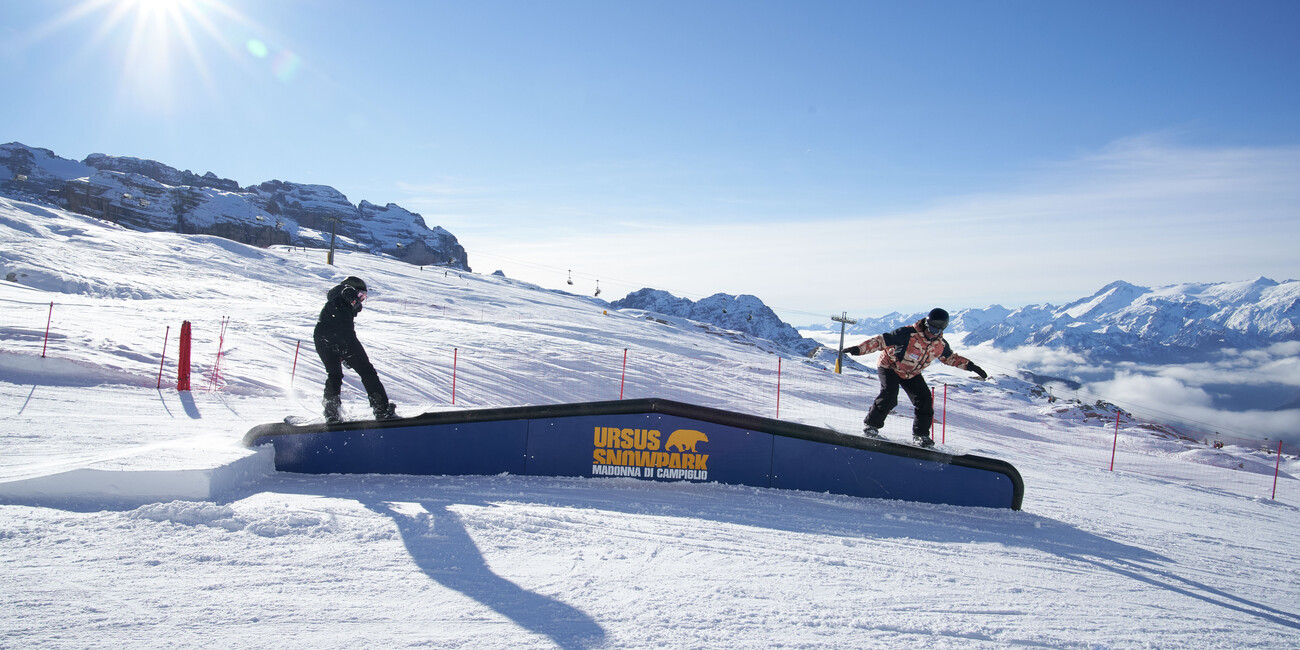 Scuola Snowboard Zebra #9