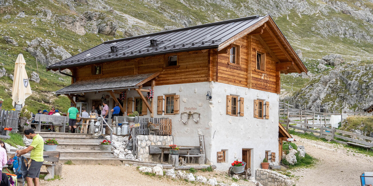 Malga Sasso Piatto #1