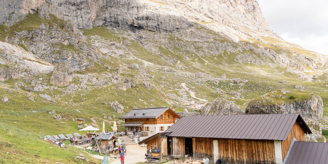 Malga Sasso Piatto #7