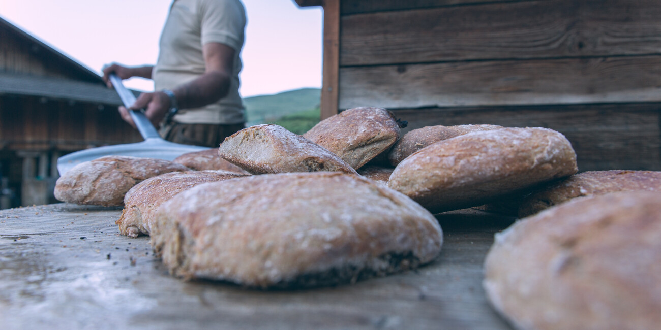 Malga Sasso Piatto #11