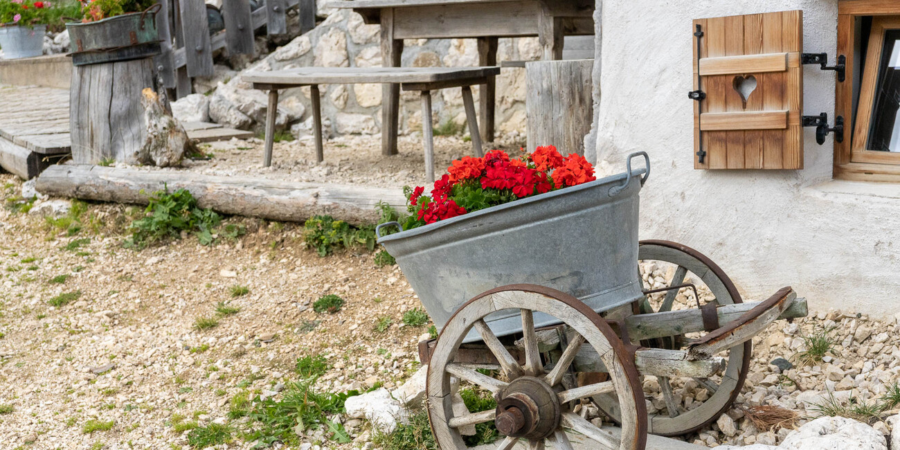 Malga Sasso Piatto #13