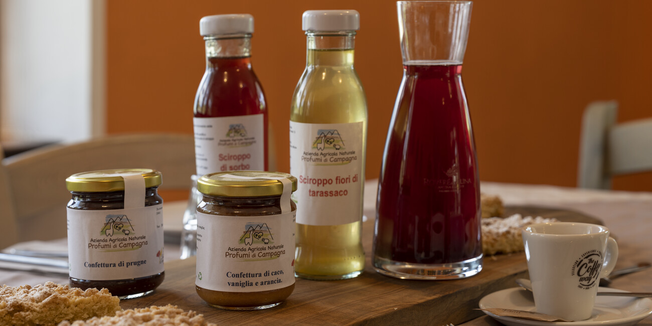 Candriai Alpine Hut #5