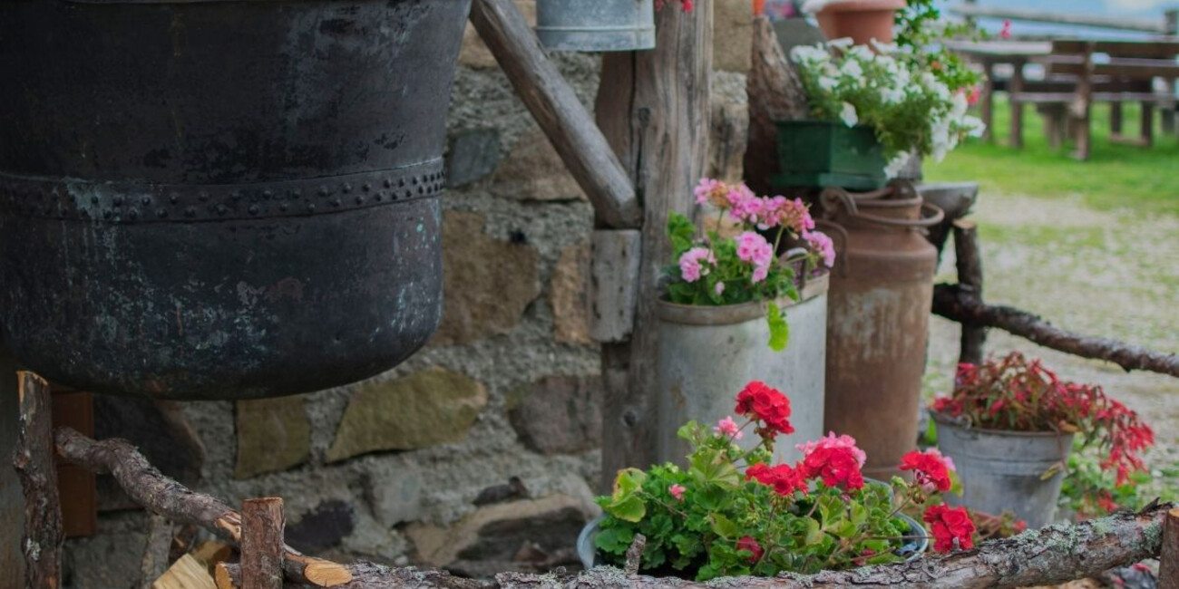 Malga Casapinello #2