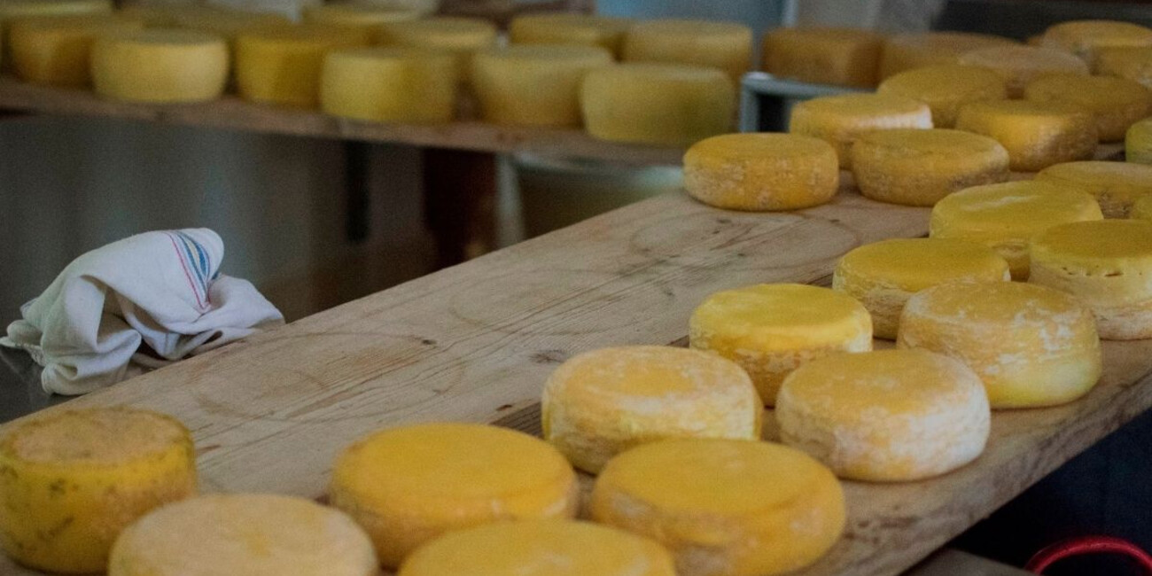 Agritur Malga Valfontane #2