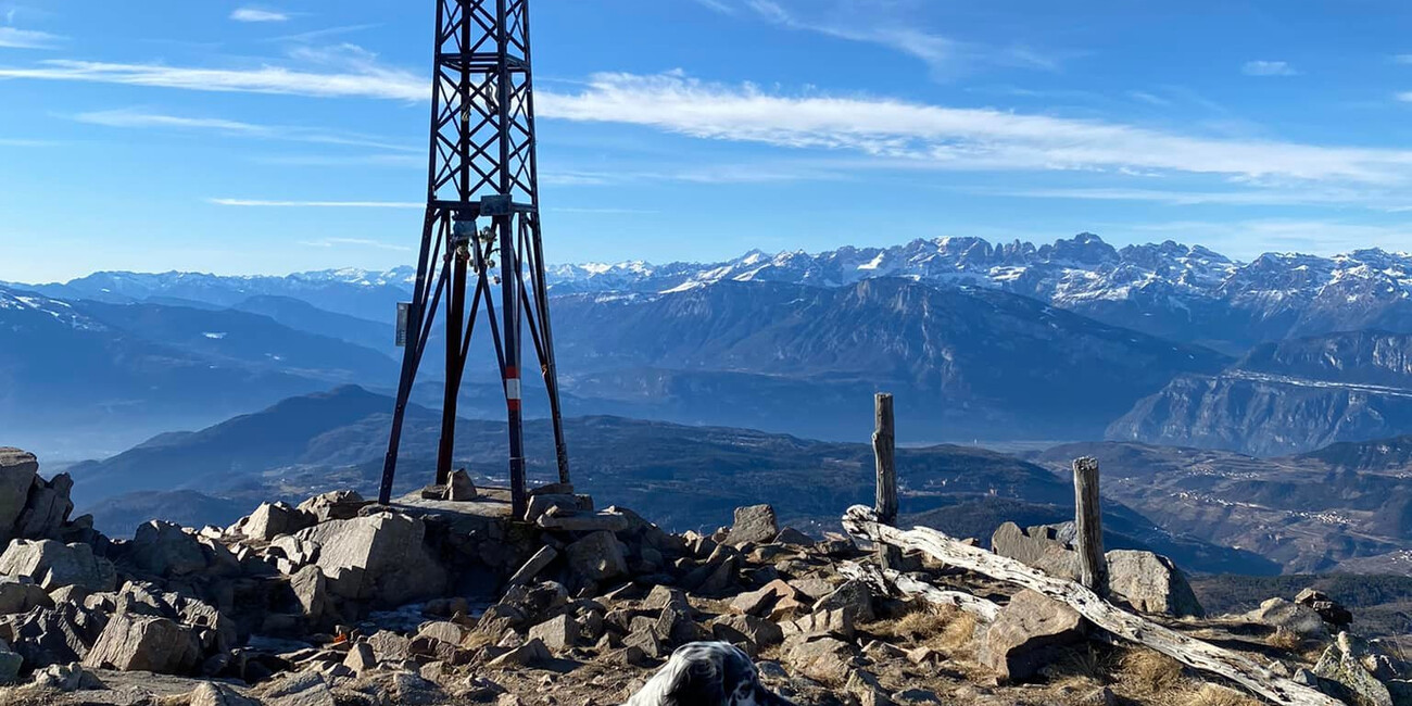 Viewpoint Dosso di Costalta #3