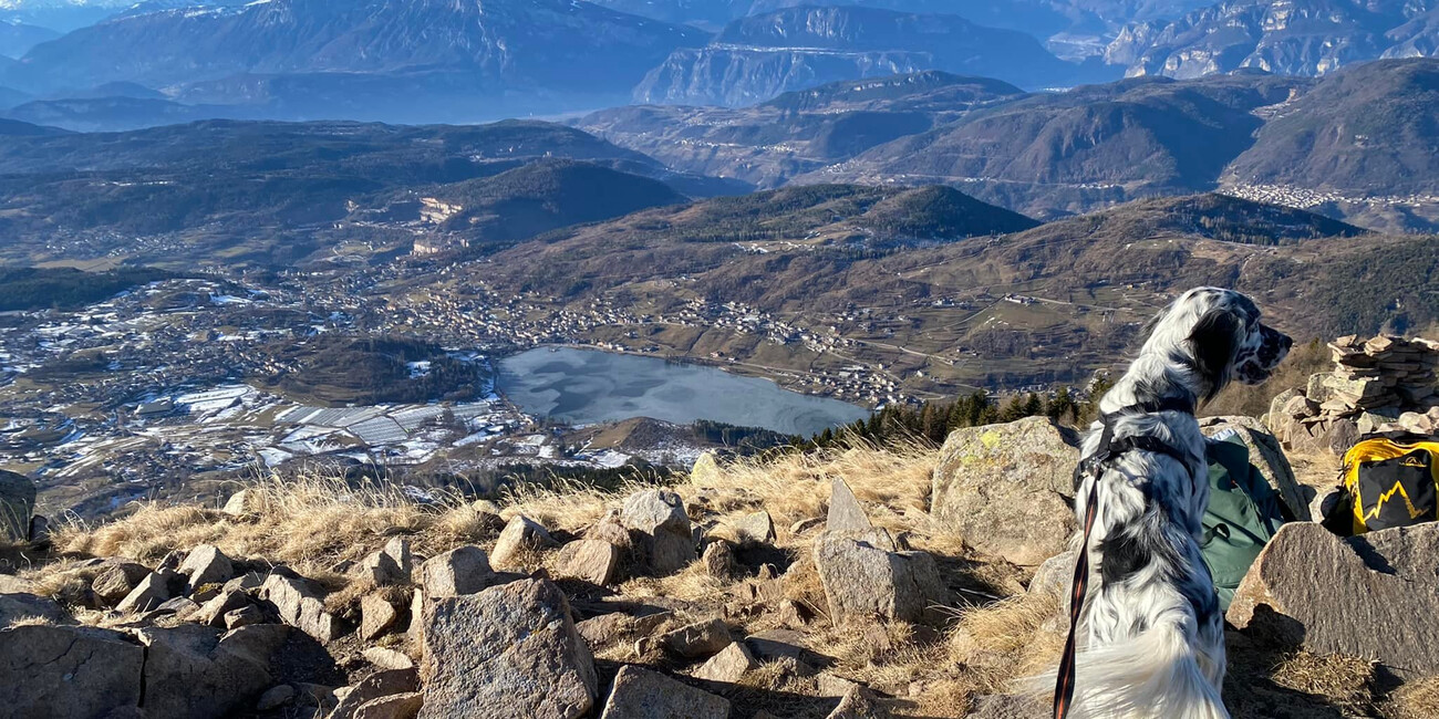 Viewpoint Dosso di Costalta #4