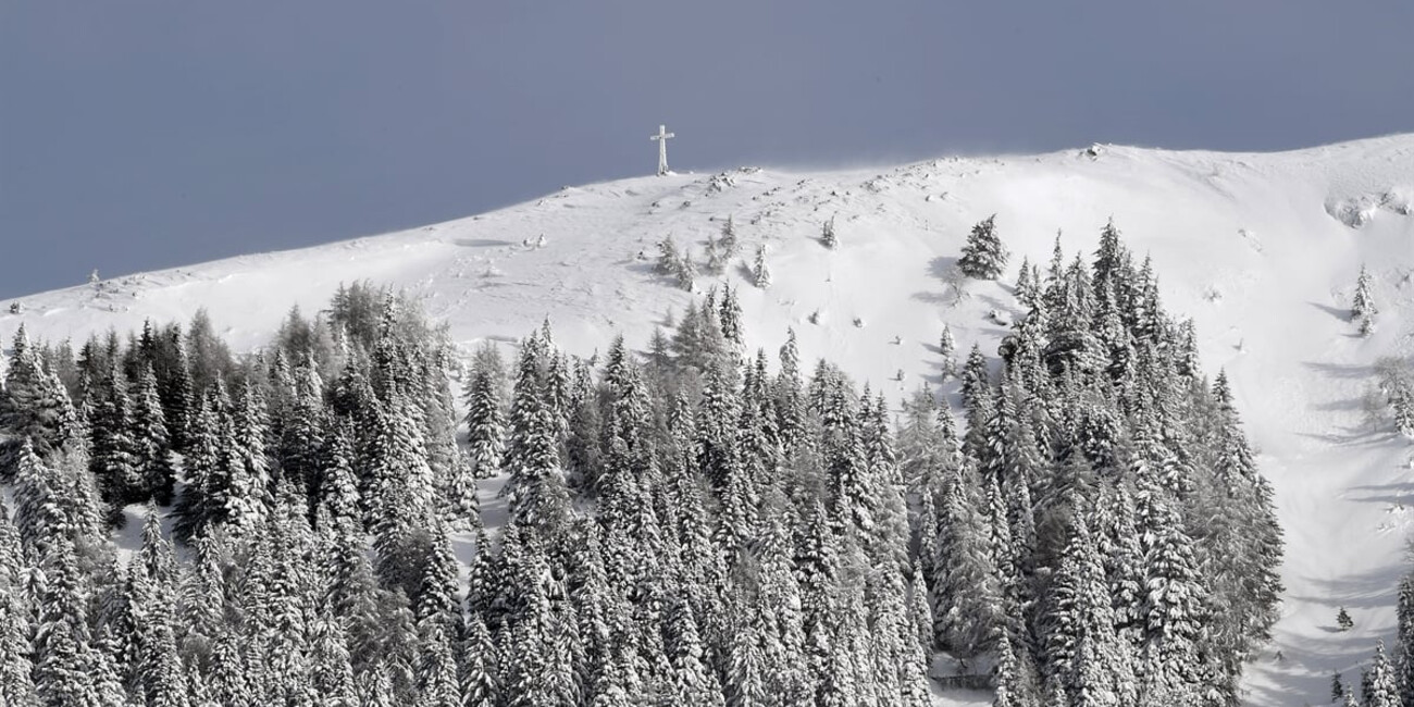 Viewpoint Dosso di Costalta #6