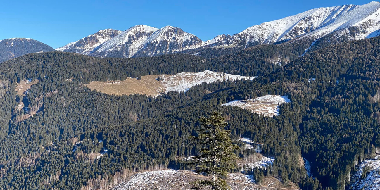 Viewpoint Dosso di Costalta #7